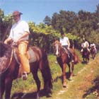 Peregrina��o a cavalo